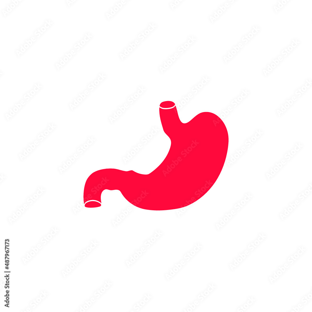 Vector image. Human stomach. Vector image. Human stomach.