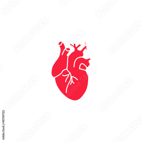 Vector image. Anatomical image of the heart.