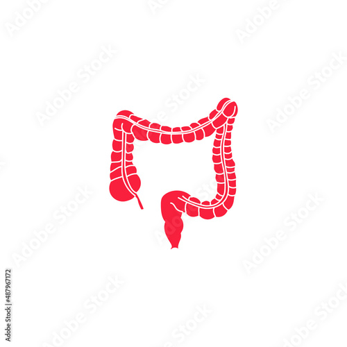 Vector image. Human kidneys.