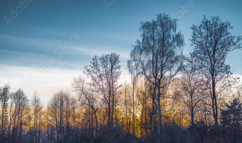 Fototapeta Naklejka Na Ścianę i Meble -  niebo