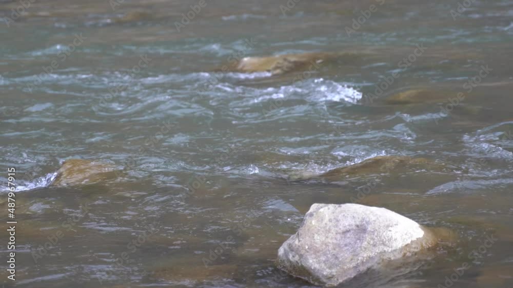 Mountain river Black Cheremosh in Carpathian Mountain river Black Cheremosh in Carpathian