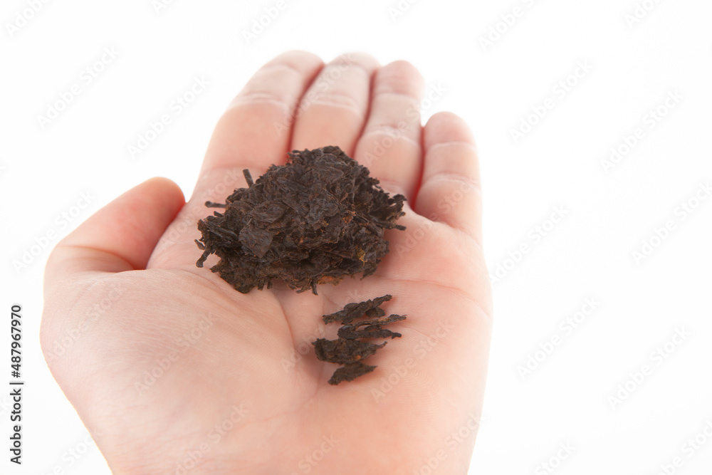 image of tea hand white background