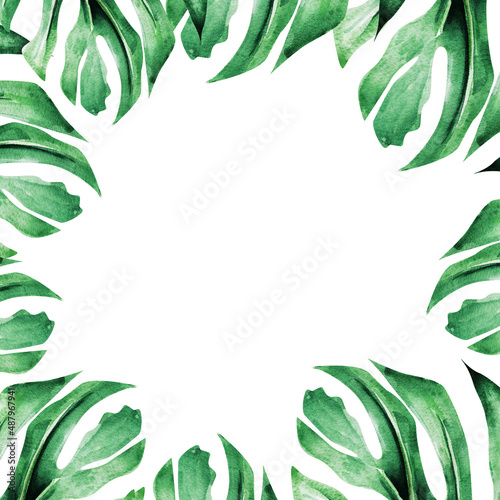Frame square monstera leaves tropics watercolor. Template for decorating designs and illustrations. 