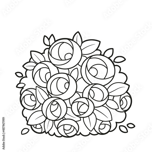 Lush rose bush coloring book linear drawing isolated on white background