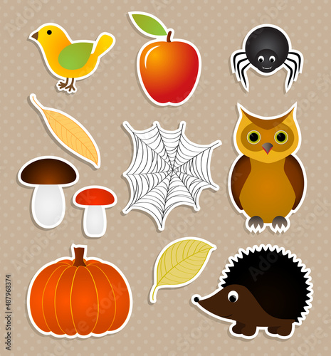 Autumn nature stickers set, vector