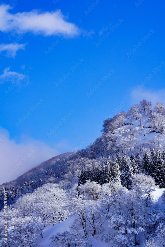 降り積もった雪の白さと青空が美しい冬の風景
