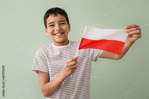 Happy little boy with flag ...