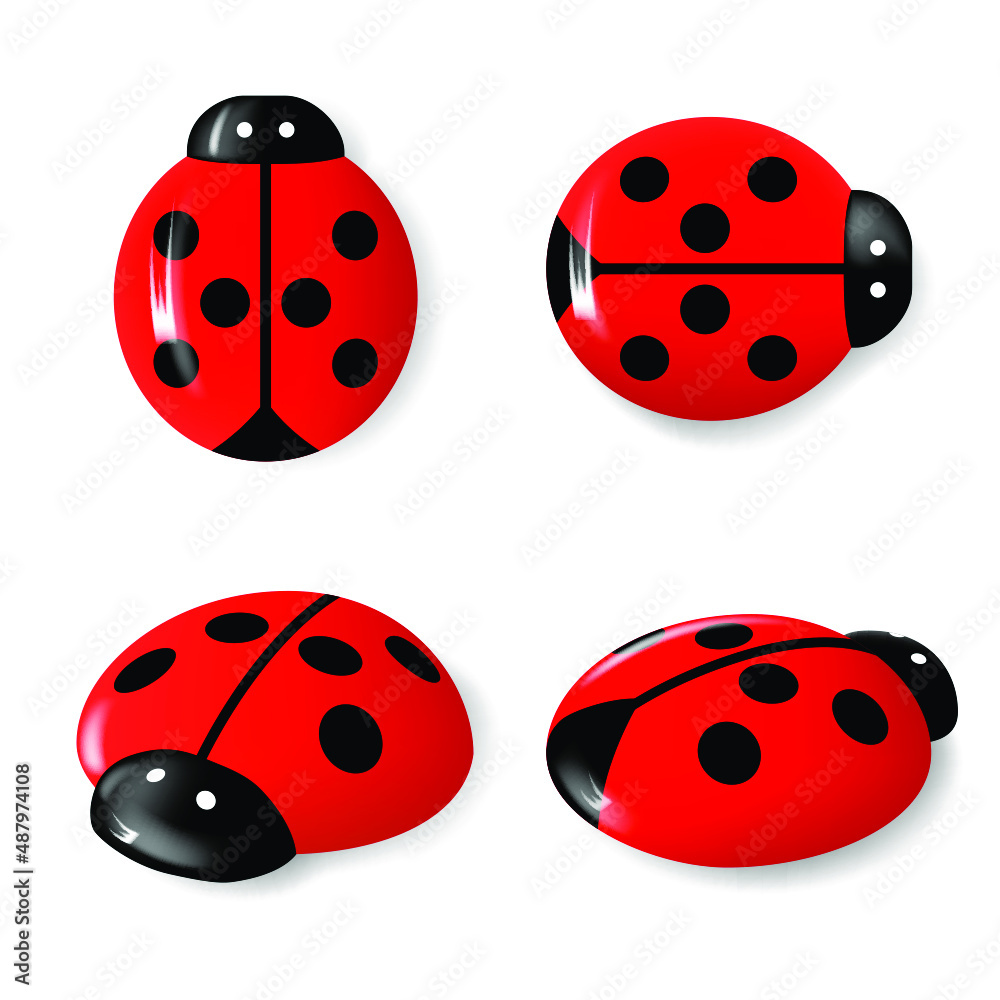 Fototapeta premium Set of Ladybugs set on white background. Bright insects 