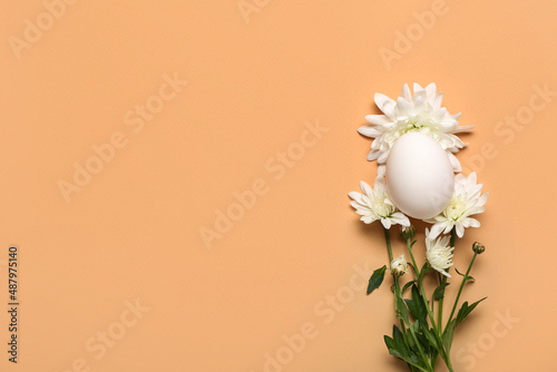 Chrysanthemum flowers with Easter egg on color background
