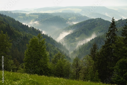 Schwarzwaldpanorama nach dem Regen