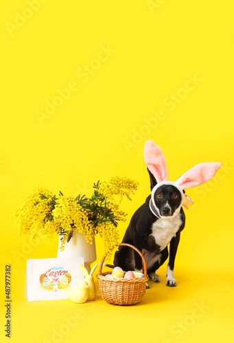 Cute dog with Easter eggs, ...