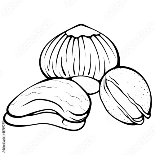 Hazelnut, cashew, pistachio three nuts. Chopped half mango. Vector illustrations in hand drawn sketch doodle style. Line art nut isolated on white. Element for coloring book, design, print.