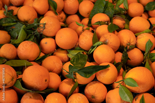 Ripe orange sold in the market
