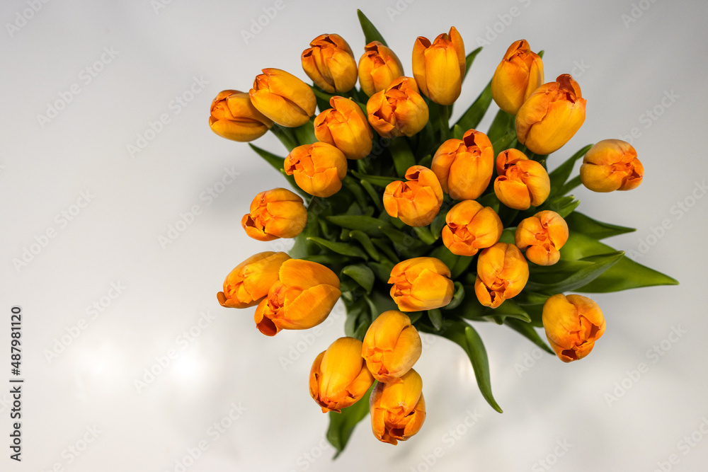 Naklejka premium Pomarańczowe tulipany