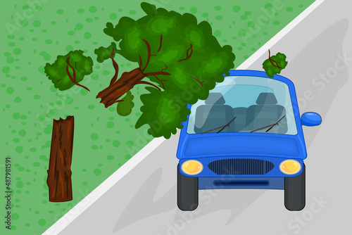 Broken tree fell on car. Tree tumbled on blue automobile roof and windshield. Car damaged by fallen tree. Natural disaster insurance. Road accident or dangerous situation. Stock vector illustration
