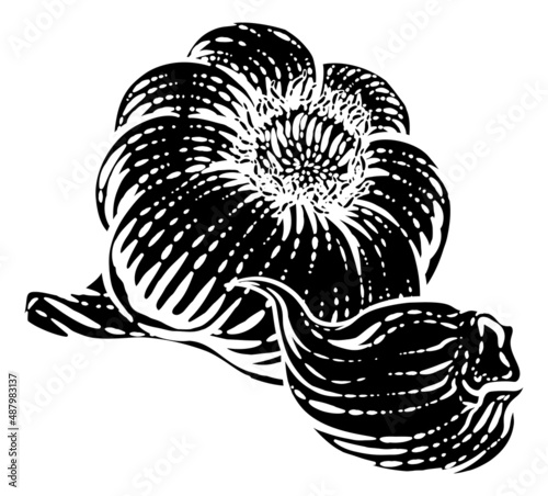 Garlic Vegetable Vintage Wo...