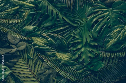 Abstract green leaves nature texture background. Creative layout for design,thailand