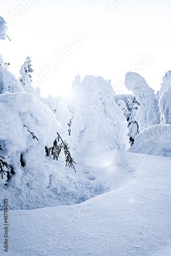 snow covered mountains