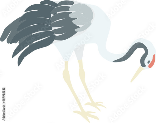 illustration of an ostrich