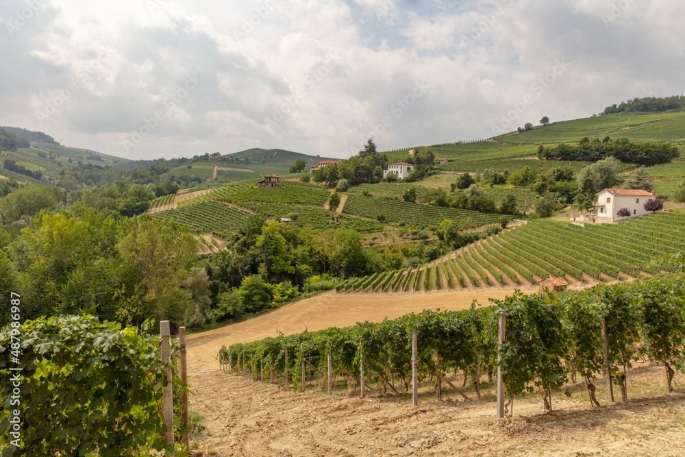 Vineyards on the hills in Piemonte, Italy near village Barolo.