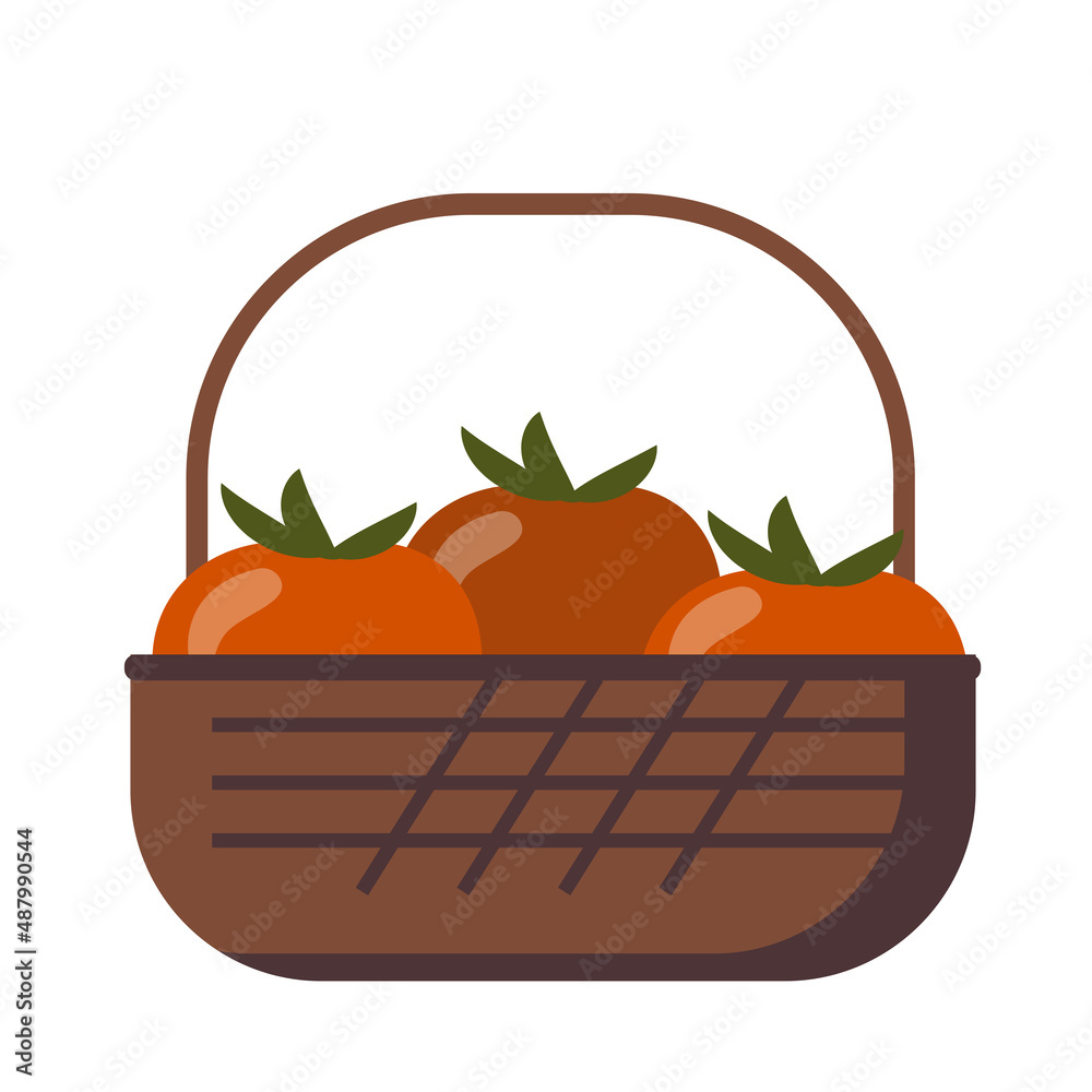 A basket with a harvest of tomatoes isolated on a white background. A basket with a harvest of tomatoes isolated on a white background.