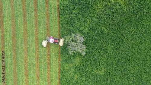 Aerial view tractor harvesting crop below single tree on farm
