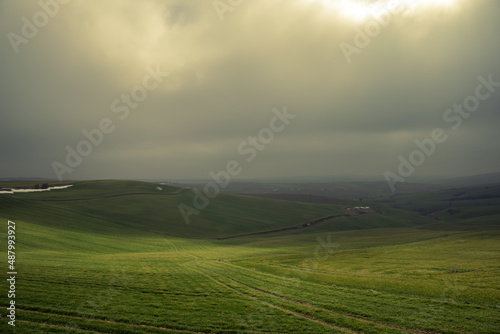 Wheat field, rural landscape of cultivated wheat field, clouds over the fields photo