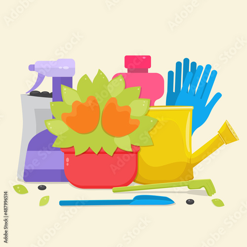 Floriculture home garden concept Potted flower watering can and gardening supplies