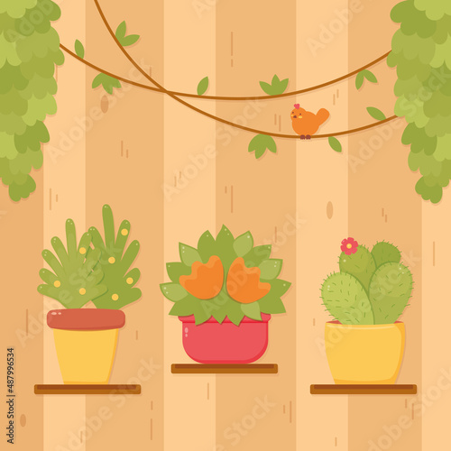Home garden, flower shop concept, three potted plants on a wooden wall