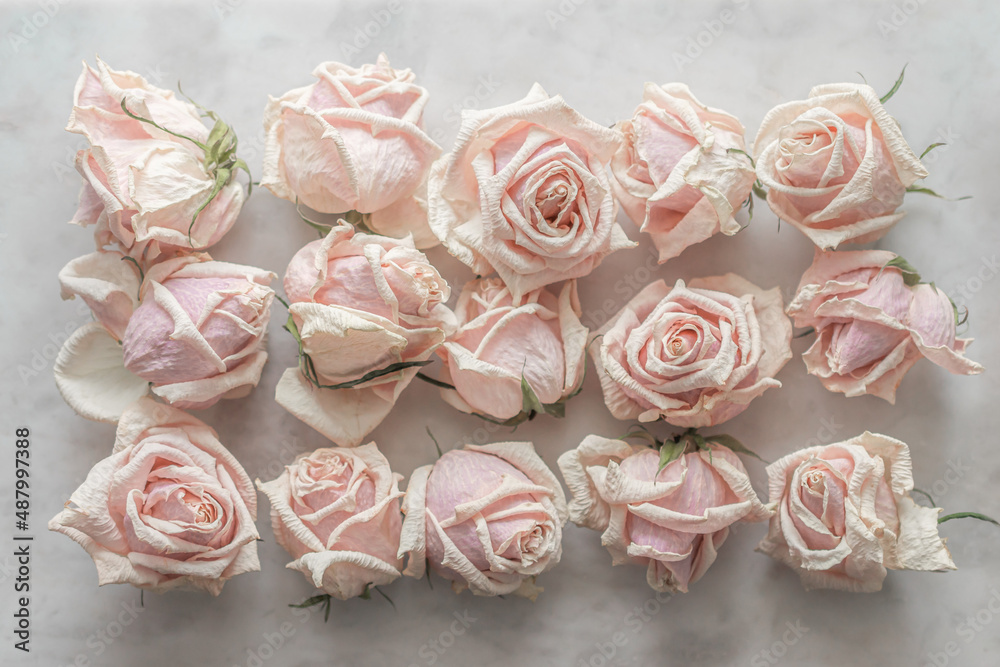 Dried pale pink roses on a marble background. Soft focus. Dried pale pink roses on a marble background. Soft focus.
