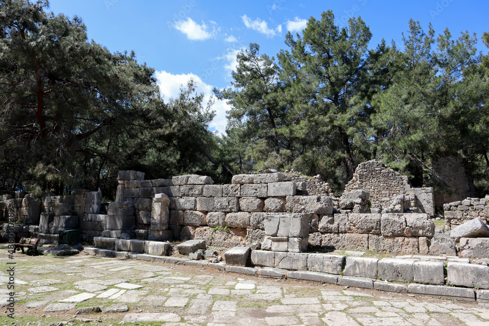 scenic ruins of the ancient city Phaselis in Turkey among pine forest spring view