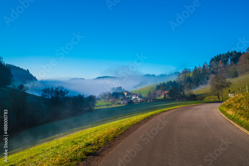 Germany, Black forest village houses and farmland at edge of the forest next to curved road in early morning foggy sunrise atmosphere