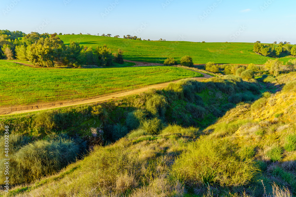 Obraz premium Countryside in the Ruhama Badlands, the Northern Negev Desert