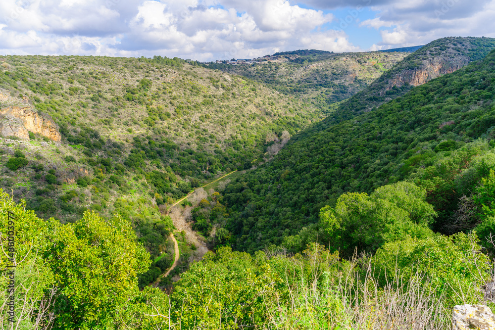 Obraz premium Landscape of the Kziv stream valley, Upper Galilee