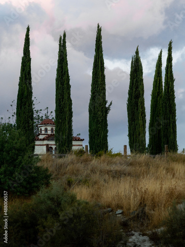 trees in front of a church in alassa in Cyprus photo