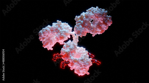 3D Rendering of a single Antibody Drug Conjugate Molecule with Cytotoxic Payload photo