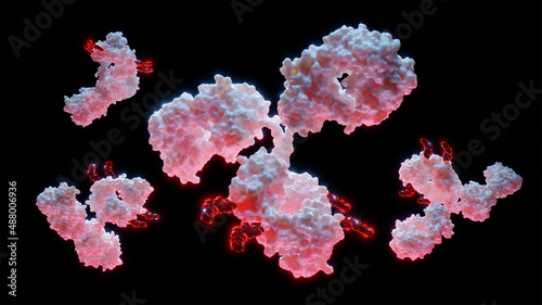 3D Rendering of Antibody Drug Conjugate Molecules - ADC - with cytotoxic payload photo