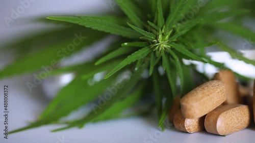 Cannabis CBD and THC and pills products, hemp leaf and CBD pills