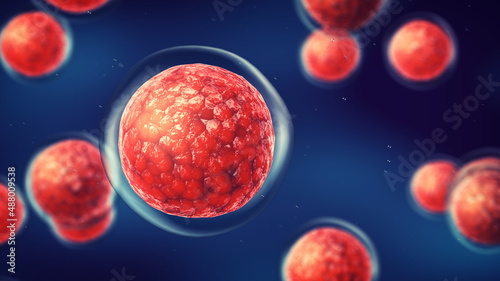 Embryonic stem cells. Repairing damaged cells by reducing inflammation and modulating the immune system. Stem cell therapy concept photo