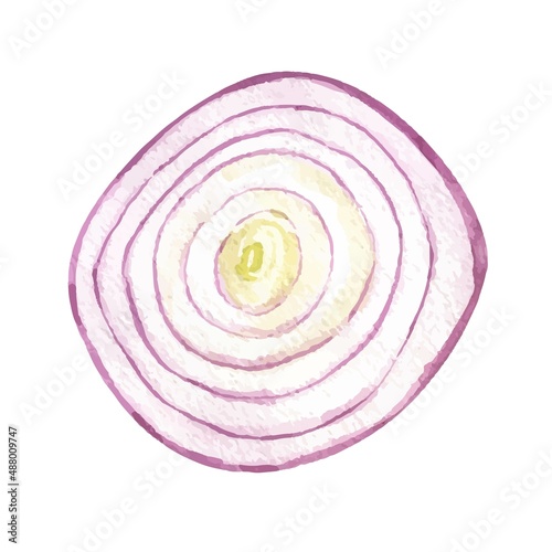 Watercolor vector hand drawn food vegetables onion. Isolated elements