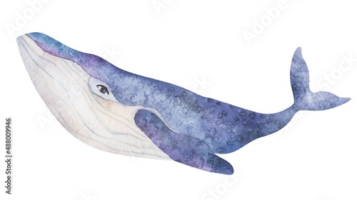 Watercolor vector cute purple whales on the white background. Sea Animal Hand draw art illustration