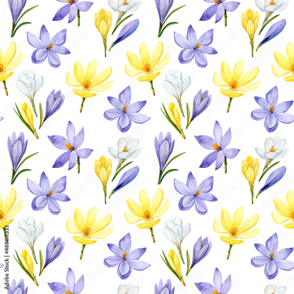 Crocuses. Seamless pattern in watercolor. Spring flowers on a white background. Crocuses. Seamless pattern in watercolor. Spring flowers on a white background.