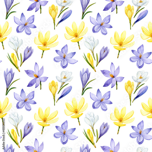 Crocuses. Seamless pattern in watercolor. Spring flowers on a white background.