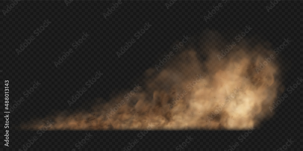 Dust sand cloud with stones and flying dusty particles isolated on transparent background. Brown dusty cloud or dry sand flying. Realistic vector illustration - obrazy, fototapety, plakaty 