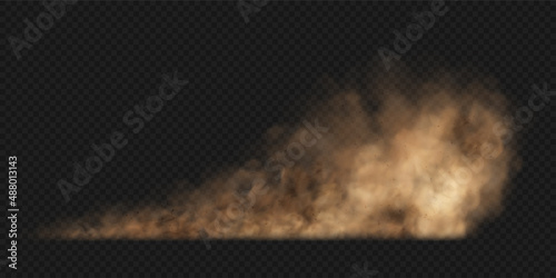 Dust sand cloud with stones and flying dusty particles isolated on transparent background. Brown dusty cloud or dry sand flying. Realistic vector illustration