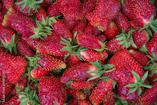 zemklunika Kupchikha. Strawberry hybrid. Background of red ripe strawberries. Close-up, top view. Fresh strawberries. Red berries of various, bizarre shapes.