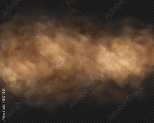 Dust sand cloud with stones and flying dusty particles isolated on transparent background. Brown dusty cloud or dry sand flying. Realistic vector illustration
