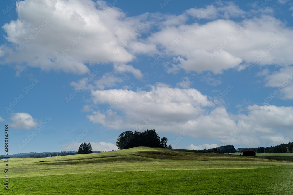 Naklejka premium Weideland im Allgäu im Sommer