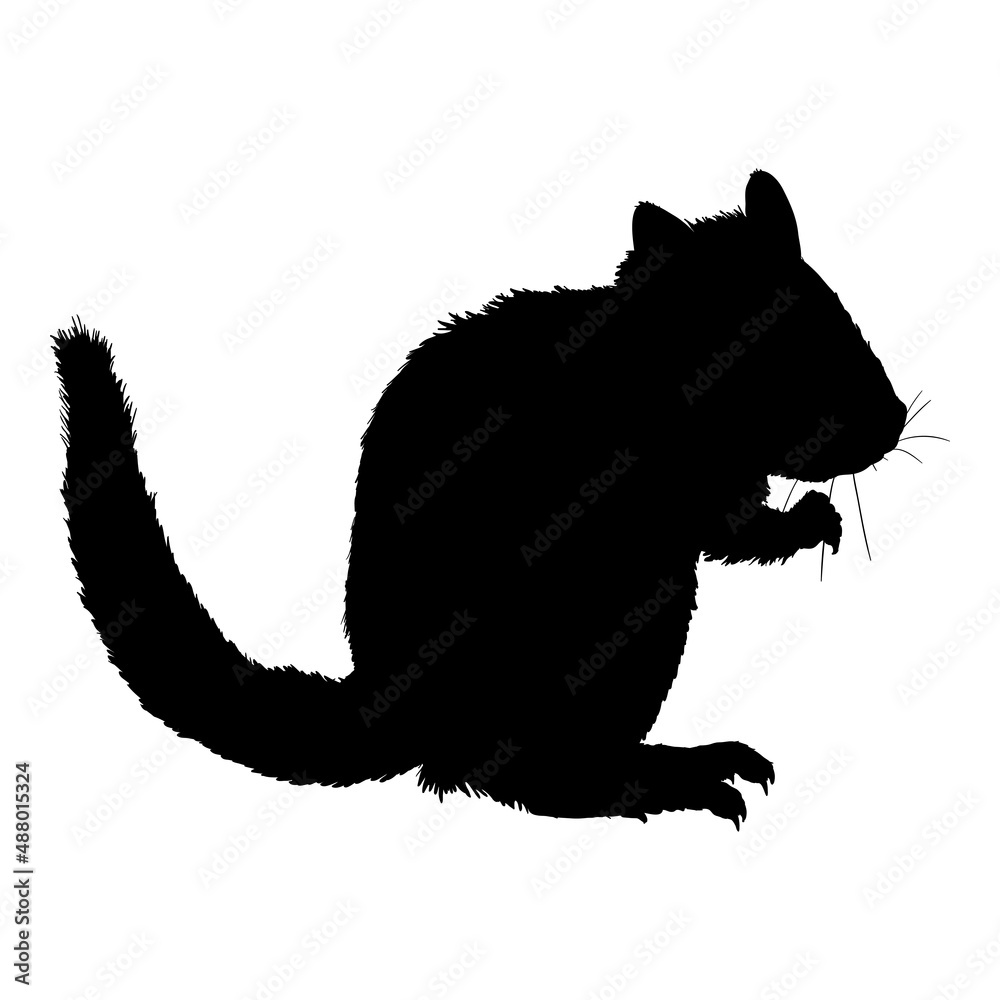 Silhouette of Chipmunk Vector Illustration on White Background