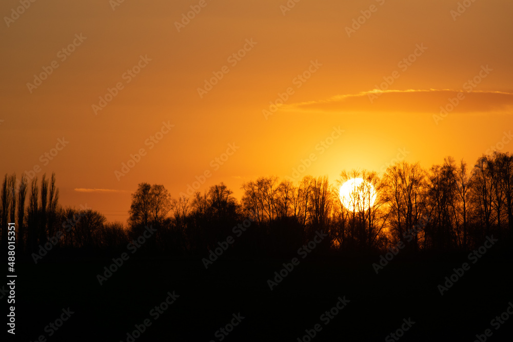 Beautiful Red Sunset in Dark Tree Silhouettes Beautiful Red Sunset in Dark Tree Silhouettes
